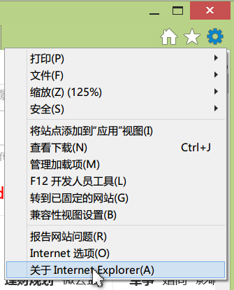 怎么查看电脑上IE的版本？查看电脑上IE的版本方法说明