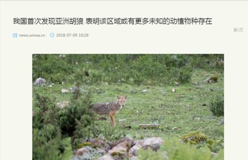 360浏览器阅读模式怎么设置？设置阅读模式操作流程一览