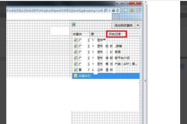如何在IE浏览器里找到已看过的视频?已看过的视频查找方法说明