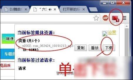 谷歌浏览器怎么下载视频？下载视频的方法说明