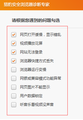 彻底解决猎豹浏览器打不开网页是什么原因？解决打不开网页的方法说明