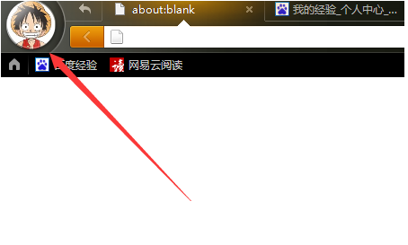 彻底解决猎豹浏览器打不开网页是什么原因？解决打不开网页的方法说明