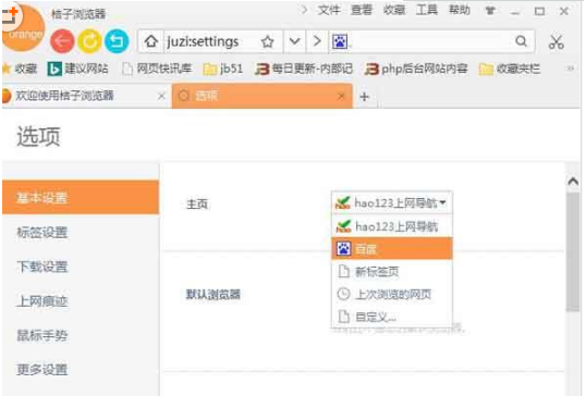 桔子浏览器的下载及安装方法和常见问题