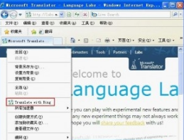 怎么让网页自动翻译？ 在IE浏览器中实现网页自动翻译的方法