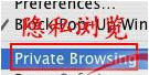 使用IE8私密技巧有多少？使用IE8私密技巧介绍