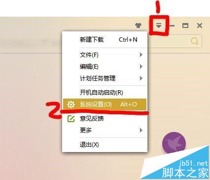 IE浏览器怎么设置迅雷下载和自带下载器相互切换?
