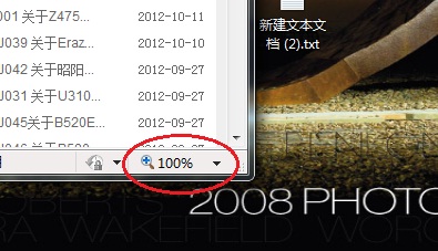 IE浏览器无法进行网页缩放比例调整(重置IE无效)解决方案