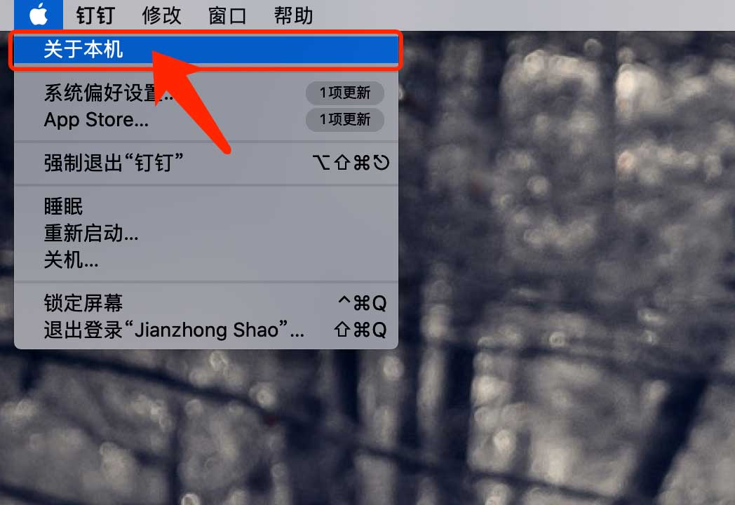 MacBook Pro电池信息查询流程介绍