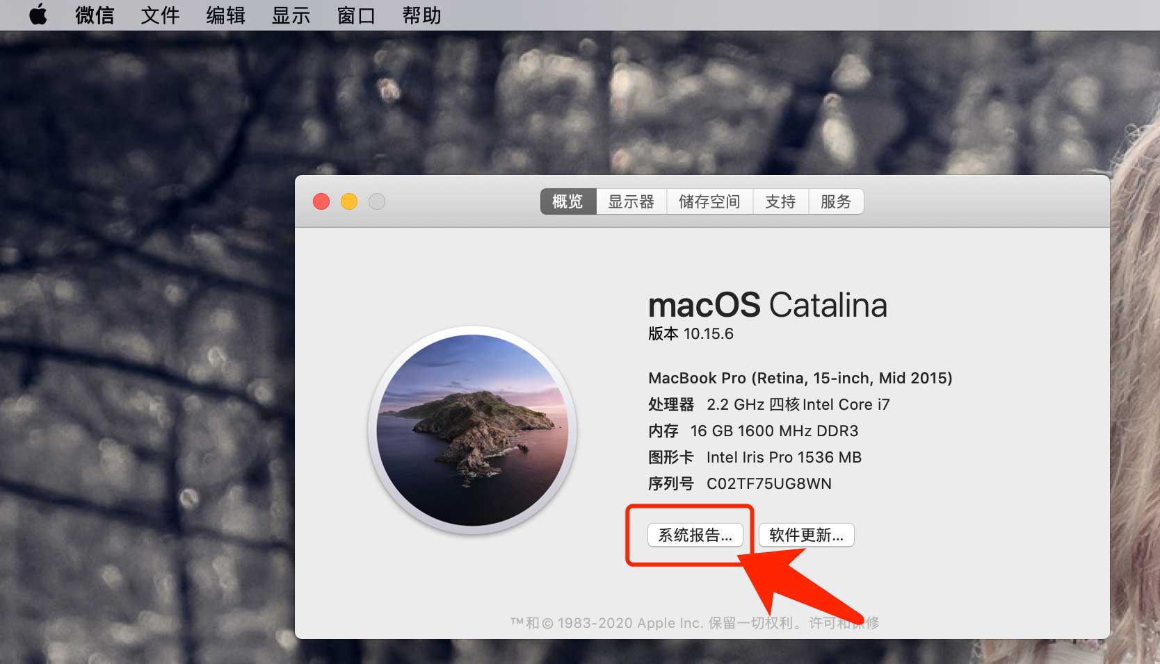 MacBook Pro电池信息查询流程介绍