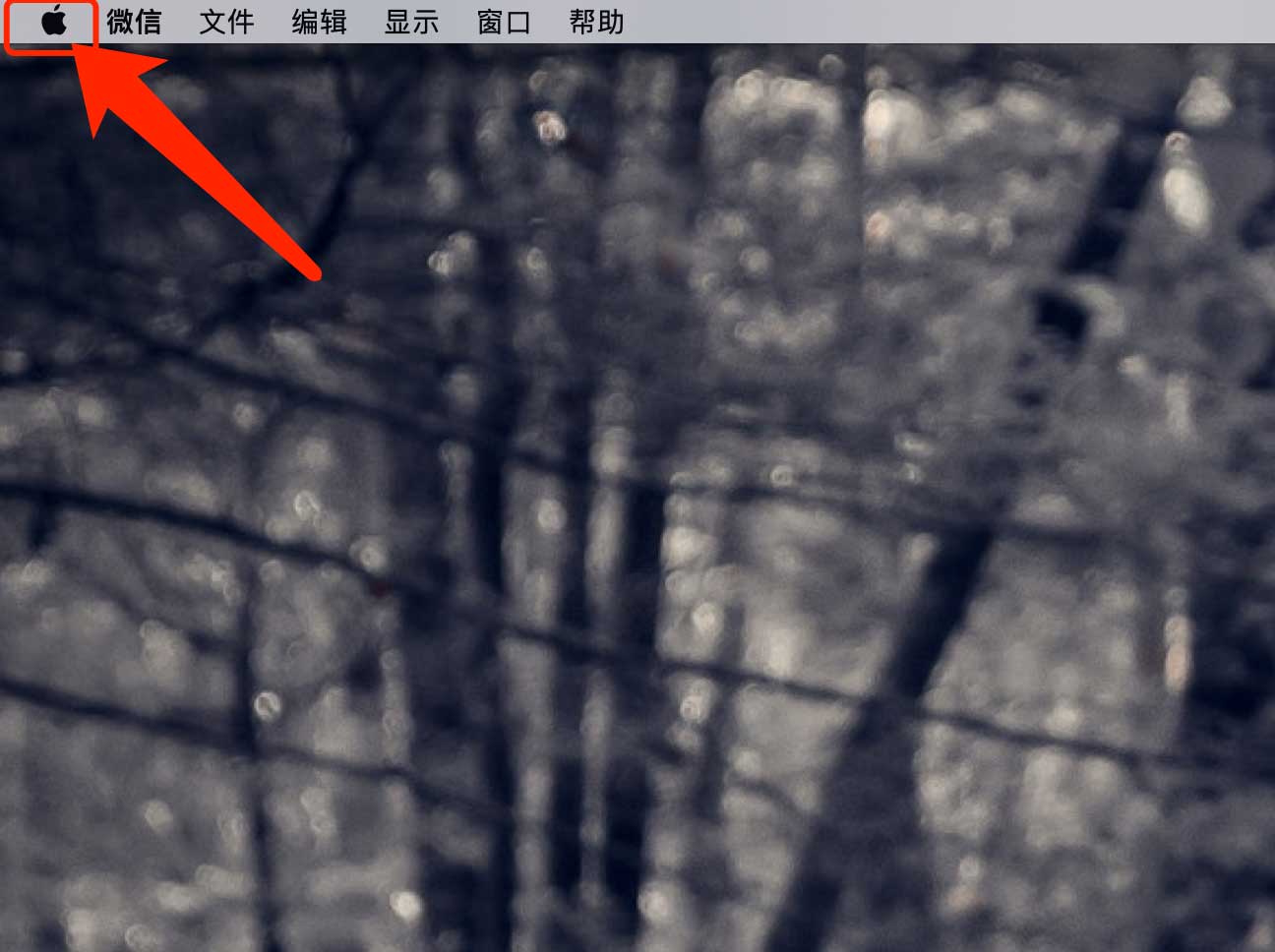 MacBook Pro电池信息查询流程介绍