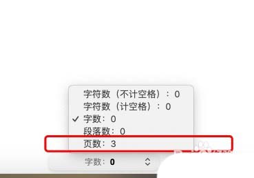 pages怎么查看文件总页数 查看文件总页数操作步骤分享