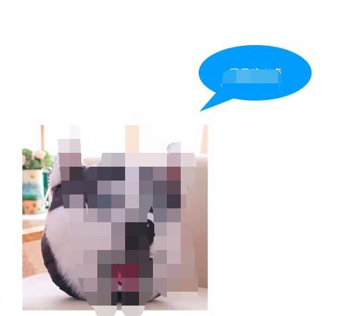 pages文章怎么插入引文 文章插入引文方式一栏