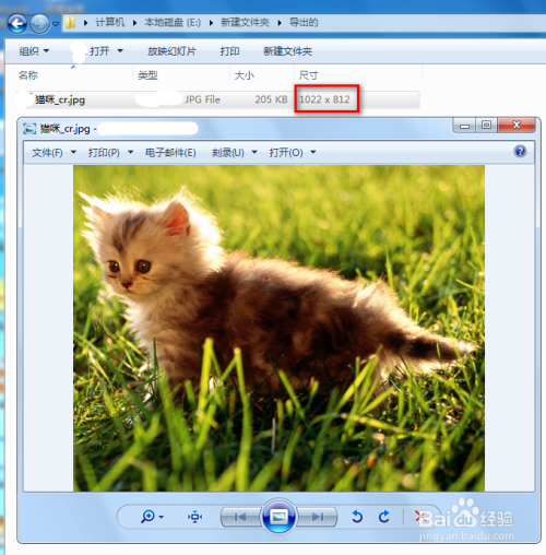 用FSViewer裁剪图片步骤介绍