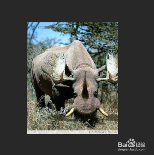 怎么让图片的背景虚像化