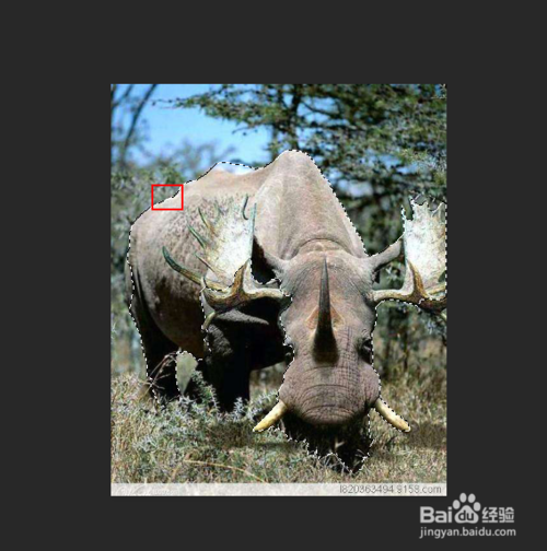 怎么让图片的背景虚像化