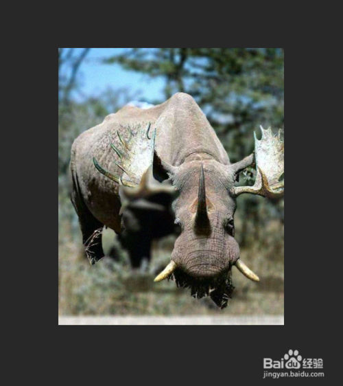 怎么让图片的背景虚像化