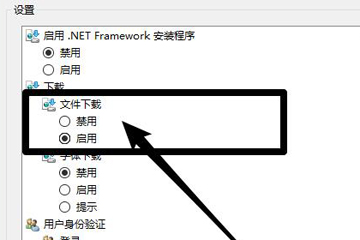 360浏览器中出现无法下载文件具体解决方法