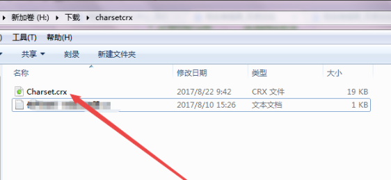 谷歌浏览器55版本查看编码方法介绍