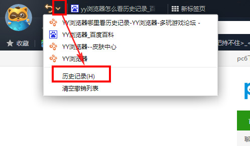 yy浏览器如何查看历史记录?yy浏览器看历史记录的图文教程