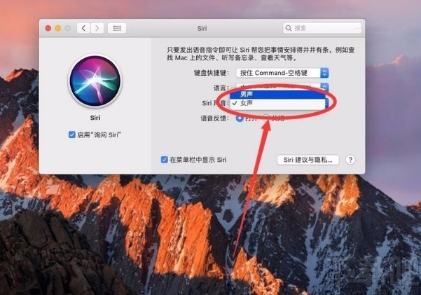 苹果电脑修改Siri声音的方法