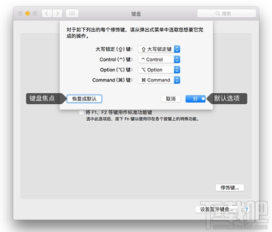 怎么在Mac上使用Tab键快速切换对话框按钮?Mac上使用Tab键快速切换对话框按钮的技巧