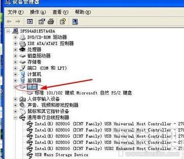 电脑打开后键盘灯没亮怎么办