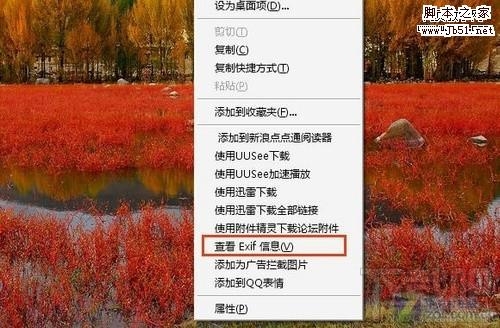 在浏览器里怎么看EXIF信息？