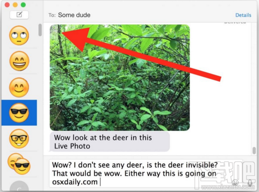 在Mac信息应用中怎么查看Live Photos Mac中查看Live Photos详细图文教程