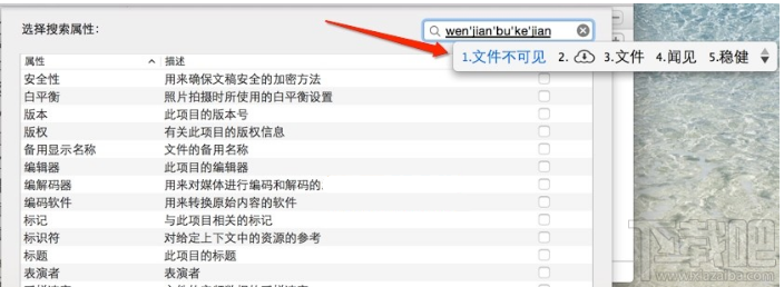 苹果MAC怎么显示隐藏文件