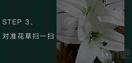 QQ浏览器识你所见怎样玩?QQ浏览器辨认花草方法