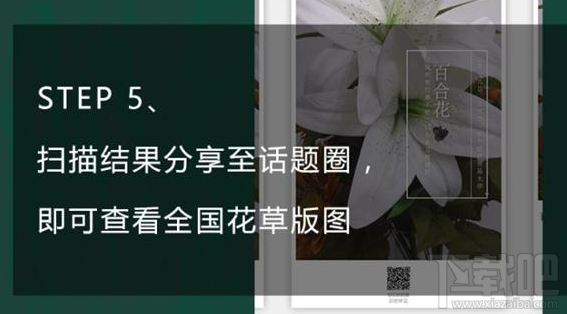 QQ浏览器识你所见怎样玩?QQ浏览器辨认花草方法