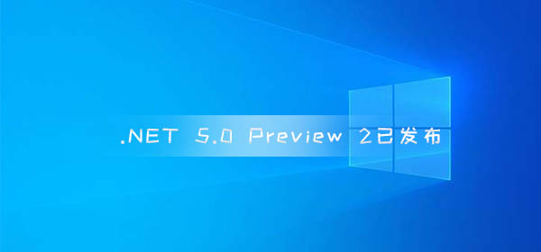 .NET 5.0 Preview 2已发布 预计11月下旬发布到GA