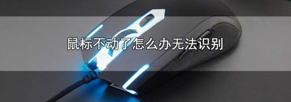 鼠标不动了怎么办无法识别