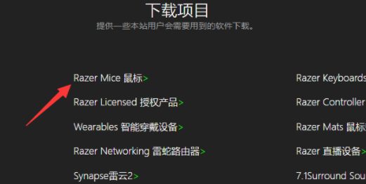 雷蛇驱动安装不了