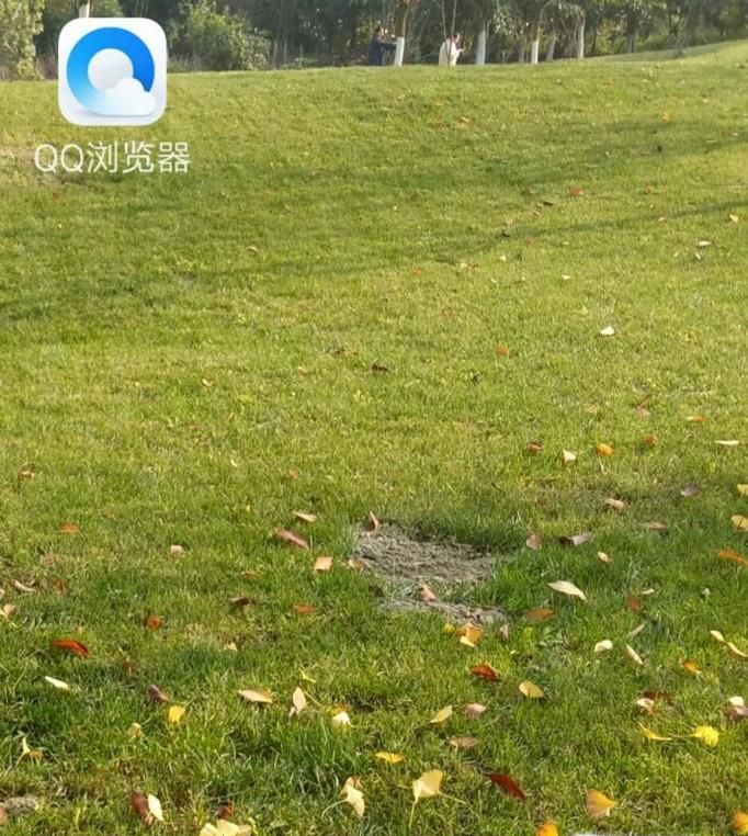 QQ浏览器怎么关闭通知栏推送的消息