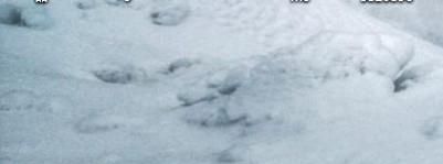 怎样找到忘记存哪的电脑文件呢？