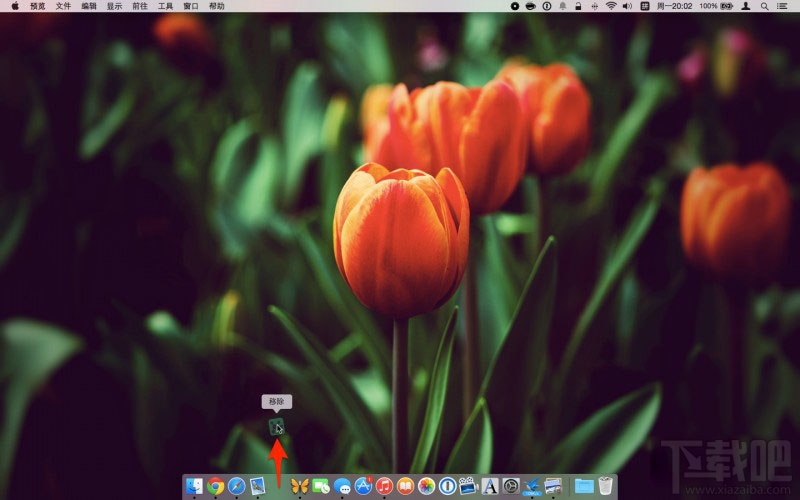 Mac的Dock栏是什么？Mac Dock栏有什么用