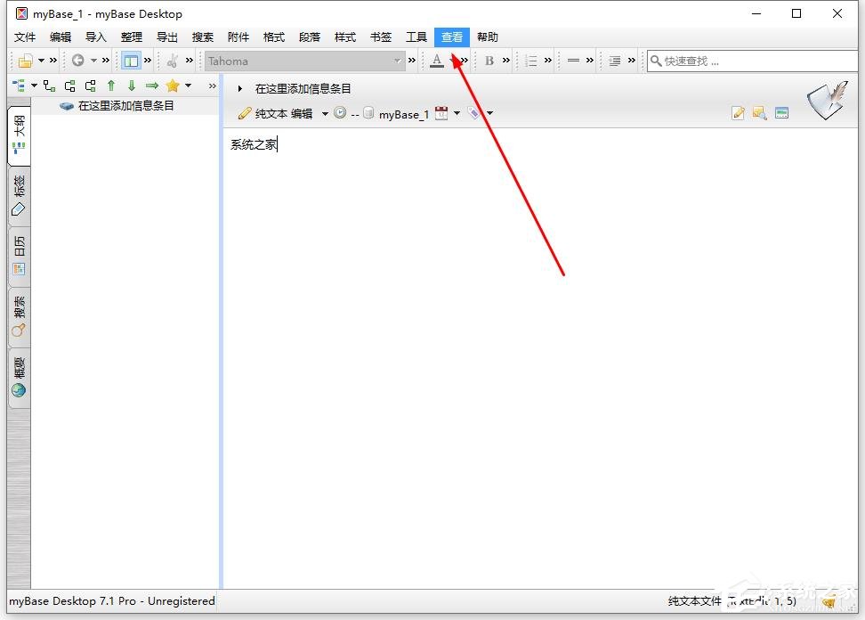 mybase Desktop Pro如何显示标签条目的图标?
