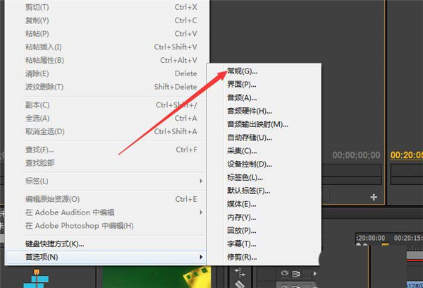 PR视频渲染视频时怎么才能不渲染音频？PR单独渲染视频的教程