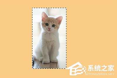 PS怎么给图片加边框?PS给图片加边框的方法
