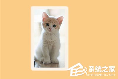 PS怎么给图片加边框?PS给图片加边框的方法