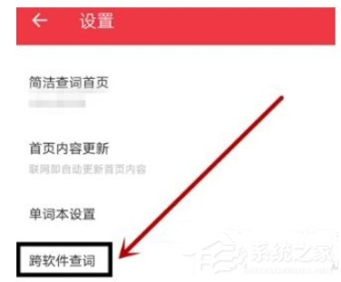 有道词典怎么设置自动查词?有道词典设置自动查词的方法