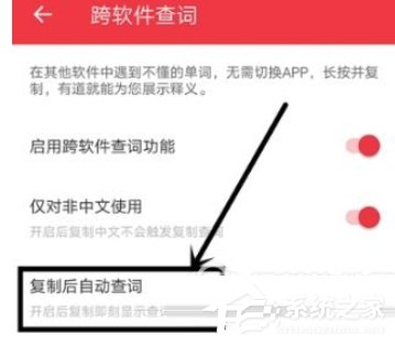 有道词典怎么设置自动查词?有道词典设置自动查词的方法