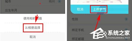收留我APP怎么上传照片?收留我APP上传照片的方法