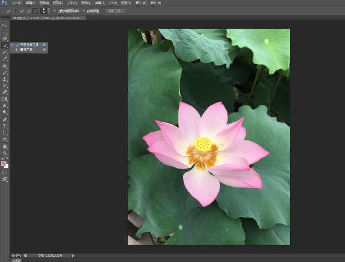 如何使用PS快速选择工具进行抠图?