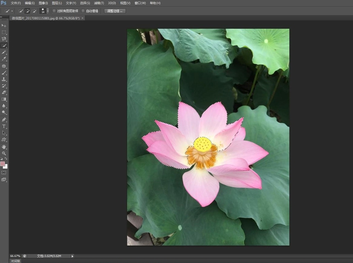 如何使用PS快速选择工具进行抠图?