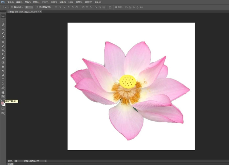 如何使用PS快速选择工具进行抠图?