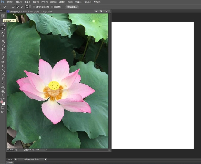 如何使用PS快速选择工具进行抠图?
