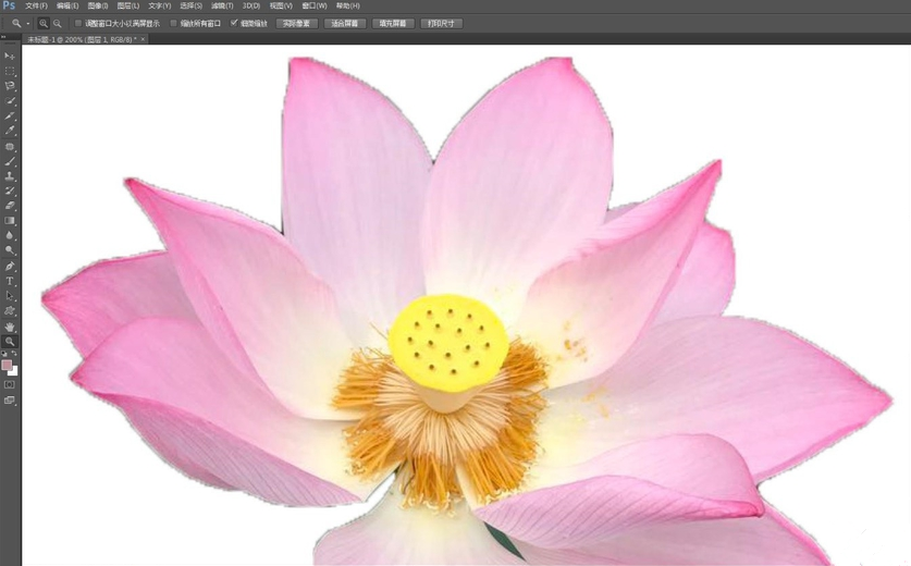 如何使用PS快速选择工具进行抠图?