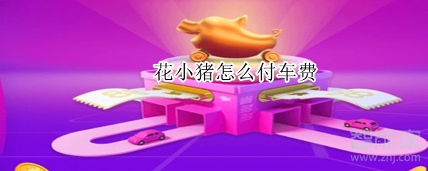 花小猪怎么付车费